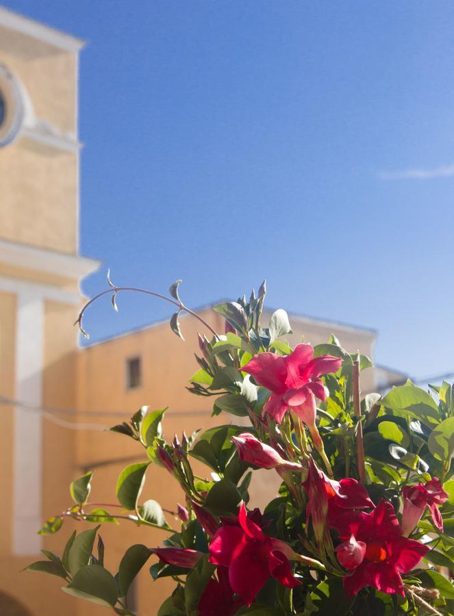 B&B San Trifone Adelfia Экстерьер фото